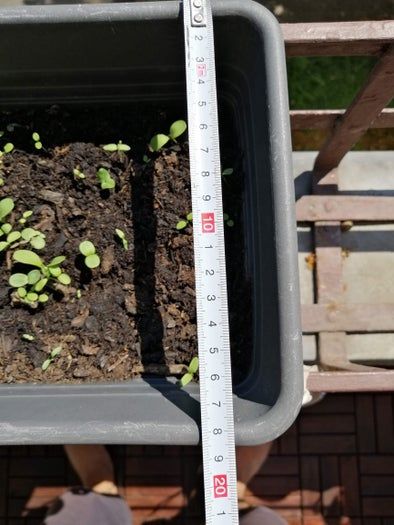 低成本自制蜗牛小屋教程，教孩子动手打造宠物蜗牛的家-第7张图片-趣作屋