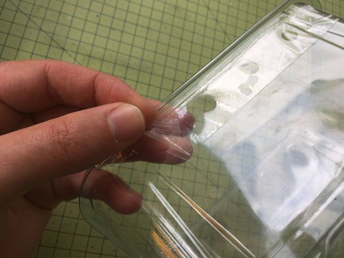 低成本养孩子的第一个宠物：毛毛虫变蝴蝶全记录-第10张图片-趣作屋