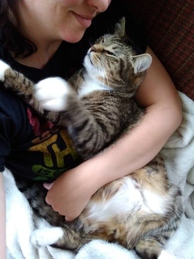如何哄猫咪抱抱并一起入睡的14个贴心技巧-第29张图片-趣作屋