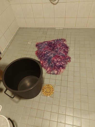 用头发染剂制作银河风格羊皮教程-第8张图片-趣作屋