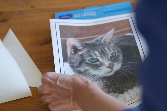 用废旧麦片盒制作猫咪拼图教程-第4张图片-趣作屋