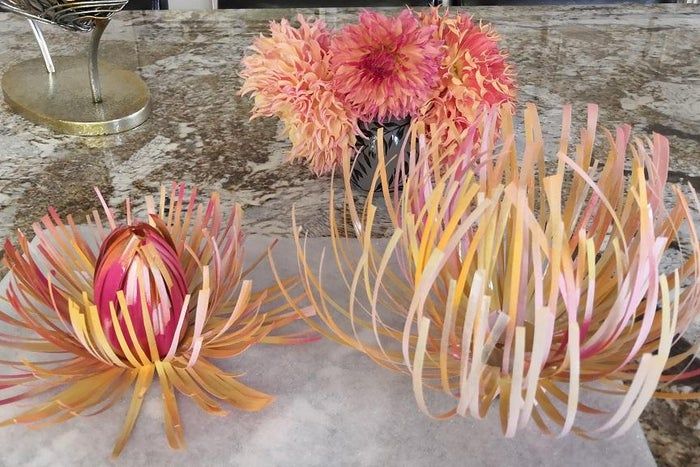 塑料瓶变废为宝：简单几步做出美丽花朵装饰-第1张图片-趣作屋