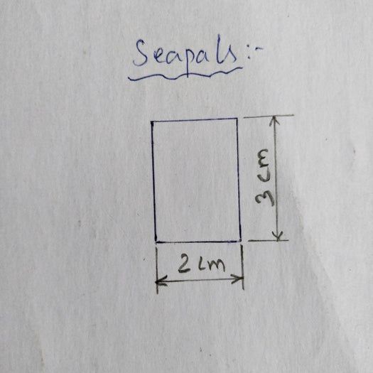 用塑料袋DIY家居装饰花束教程-第28张图片-趣作屋 用塑料袋DIY家居装饰花束教程-第28张图片-趣作屋