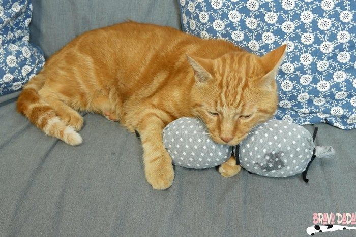 旧袜子变猫咪玩具缝纫教程-第22张图片-趣作屋