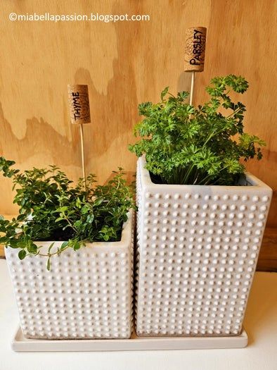 简单制作厨房香草标签教程-第6张图片-趣作屋