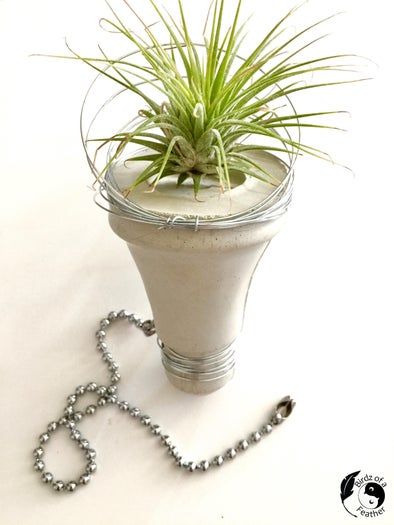 用废弃塑料制作创意水泥灯泡花盆-第21张图片-趣作屋