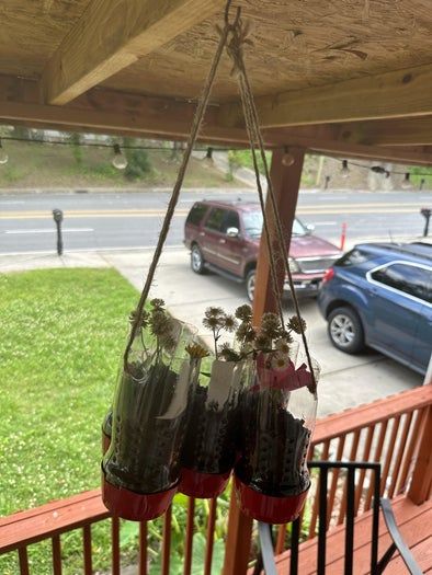 用回收材料制作环保花盆的简单方法-第27张图片-趣作屋