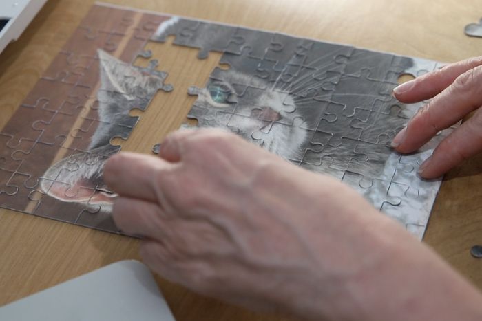 用废旧麦片盒制作猫咪拼图教程-第1张图片-趣作屋