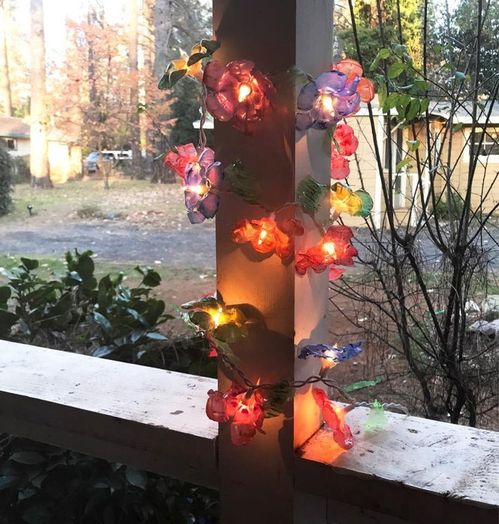 用回收塑料瓶制作多彩灯串花朵教程-第2张图片-趣作屋