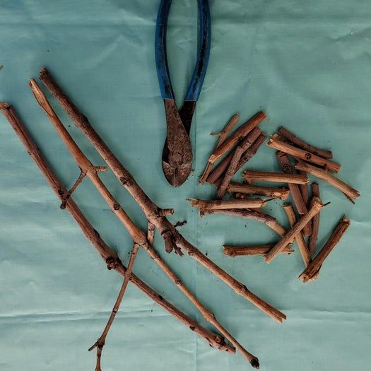 简单易做田园风花环DIY教程-第3张图片-趣作屋 简单易做田园风花环DIY教程-第3张图片-趣作屋