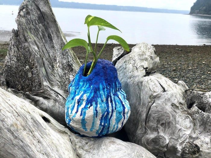 用塑料垃圾DIY创意花盆,环保又实用-第1张图片-趣作屋 用塑料垃圾DIY创意花盆,环保又实用-第1张图片-趣作屋