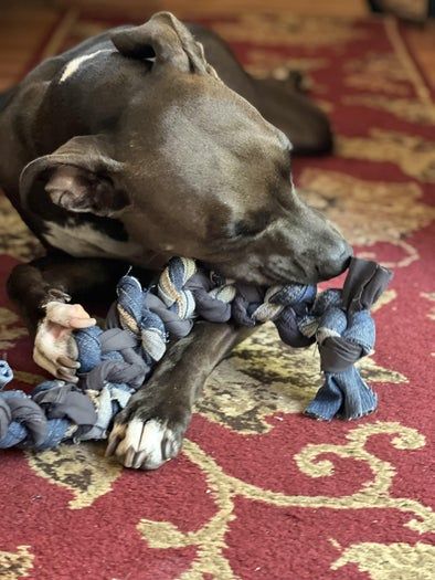 用旧牛仔裤为狗狗DIY耐咬玩具-第2张图片-趣作屋