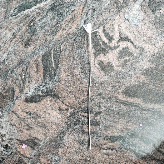 用塑料袋DIY家居装饰花束教程-第27张图片-趣作屋 用塑料袋DIY家居装饰花束教程-第27张图片-趣作屋