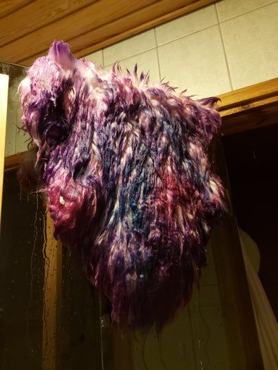 用头发染剂制作银河风格羊皮教程-第13张图片-趣作屋