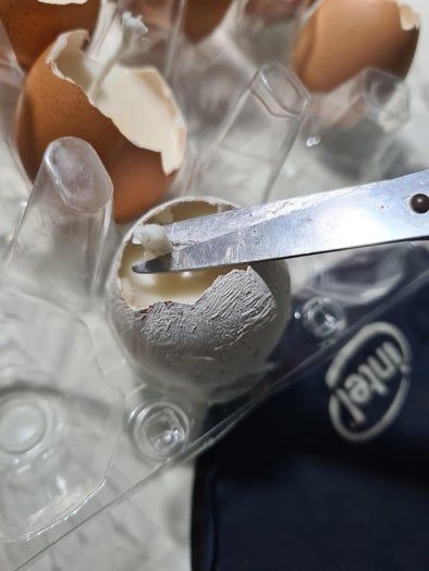 用蛋壳做双层香薰蜡烛的超简单教程-第12张图片-趣作屋