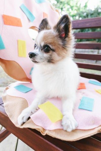 废旧塑料瓶变大甜甜圈教程-第12张图片-趣作屋