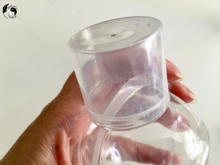 用废弃塑料制作创意水泥灯泡花盆-第6张图片-趣作屋