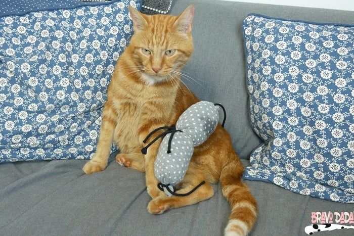 旧袜子变猫咪玩具缝纫教程-第23张图片-趣作屋