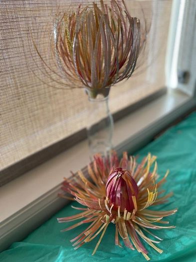 塑料瓶变废为宝：简单几步做出美丽花朵装饰-第17张图片-趣作屋