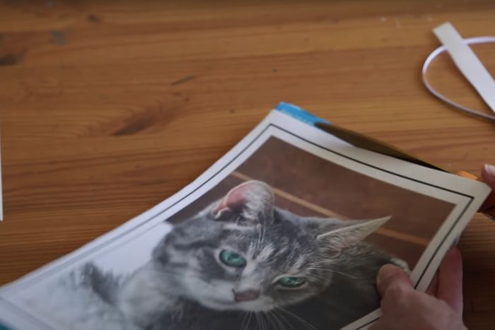 用废旧麦片盒制作猫咪拼图教程-第5张图片-趣作屋