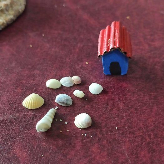 用回收材料制作瓶中沙滩的简单教程-第7张图片-趣作屋