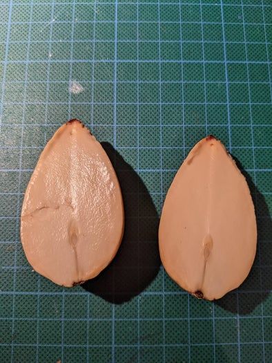 牛油果核DIY小纽扣制作教程-第6张图片-趣作屋