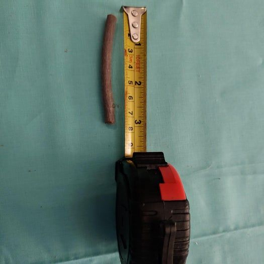 简单易做田园风花环DIY教程-第5张图片-趣作屋 简单易做田园风花环DIY教程-第5张图片-趣作屋