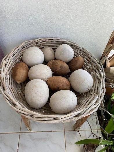 零成本自制复古储蓄罐教程-第3张图片-趣作屋 零成本自制复古储蓄罐教程-第3张图片-趣作屋